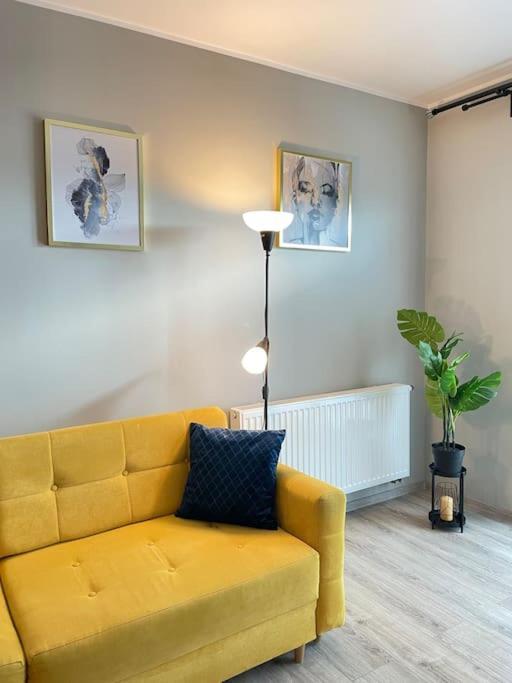 Vetulaniego Canary Comfort Krakau