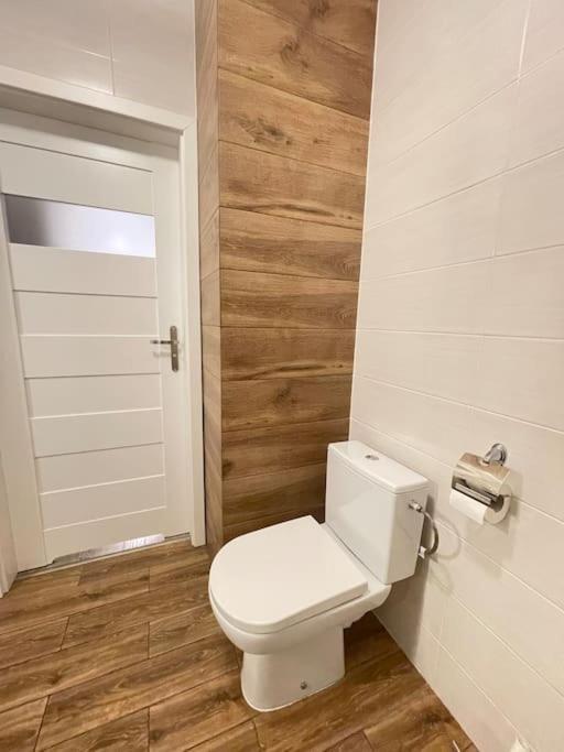 Vetulaniego Canary Comfort * Krakau